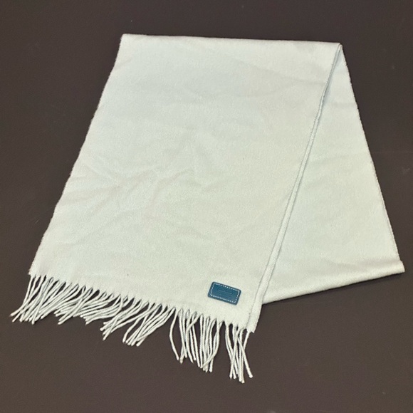 Coach Cashmere REHAB Soft Mint Fringed Scarf - Picture 3 of 7